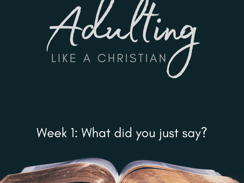 Adulting like a Christian: What did you just&nbsp;say?
